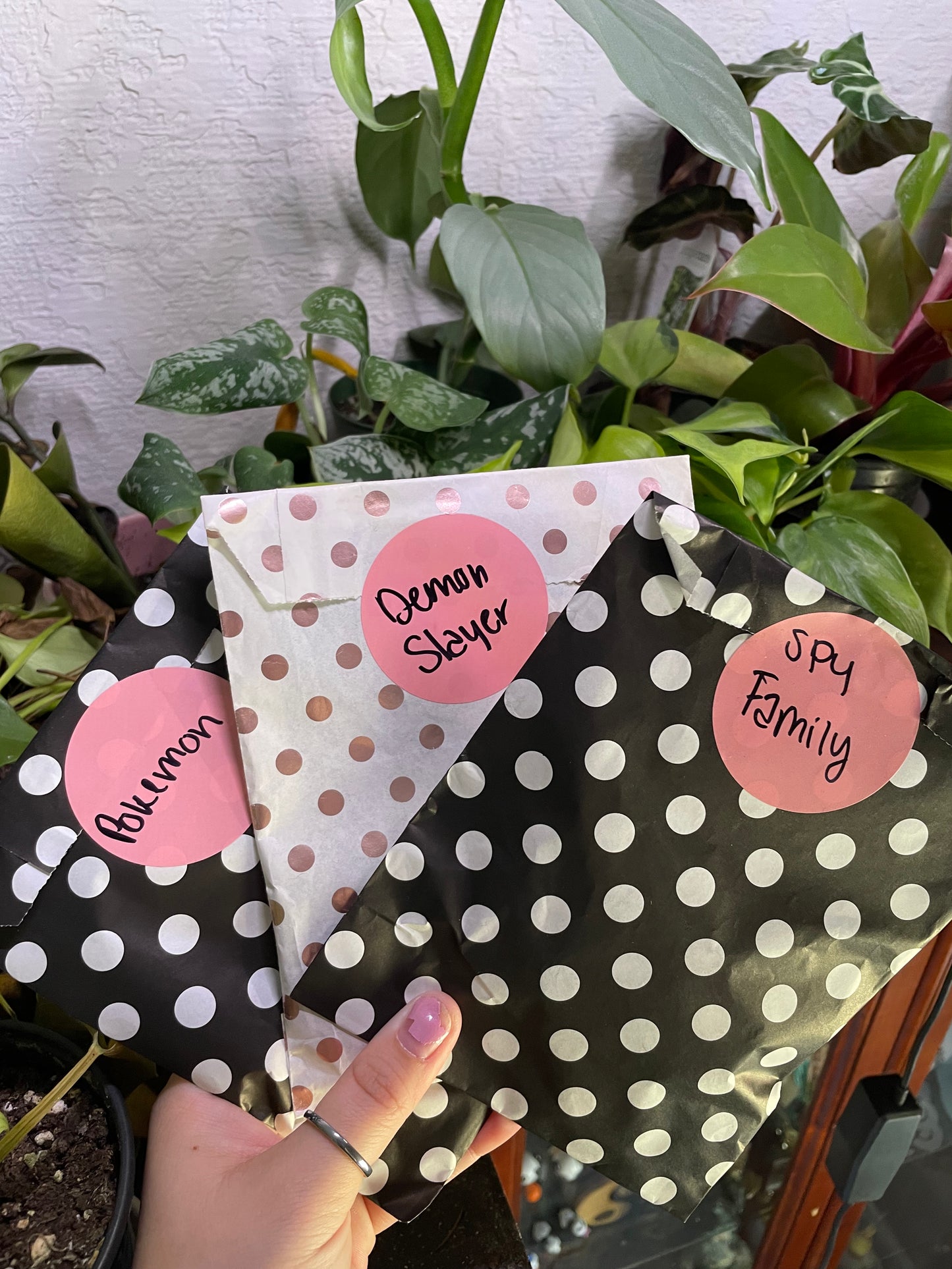 Mystery Bags