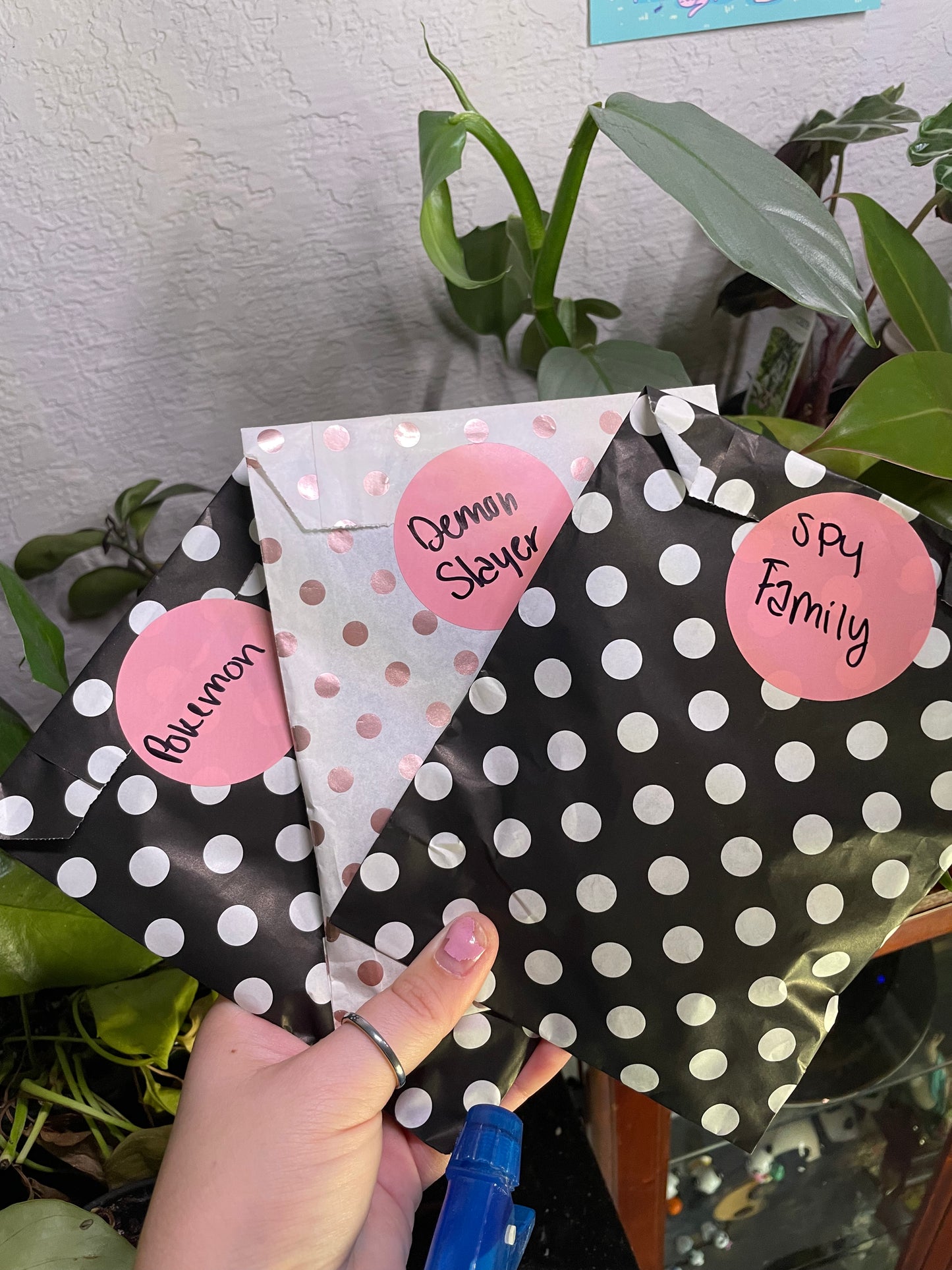 Mystery Bags